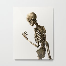 Christoph Jacob Trew -  Tabulae osteologicaeB Metal Print | White, Vintage, Skull, Halloween, Death, Occult, Witch, Drawing, Blackmagic, Morbid 