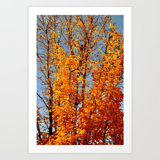 colorful tree Art Print
