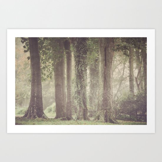 Enchanted Art Print