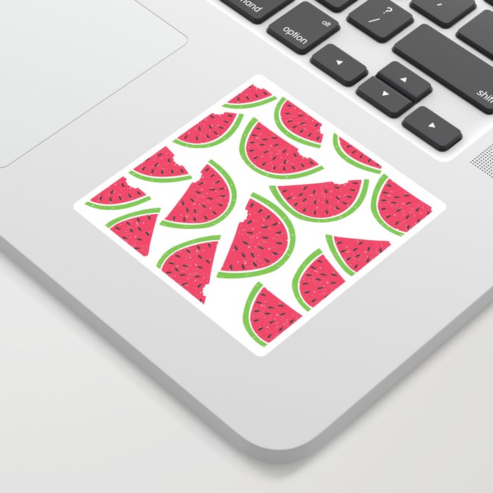 Watermelon Summer Sticker