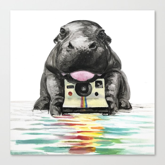 Baby Hippo Canvas Print