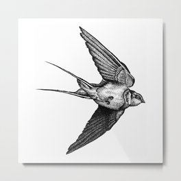 Flying Swallow Bird Metal Print