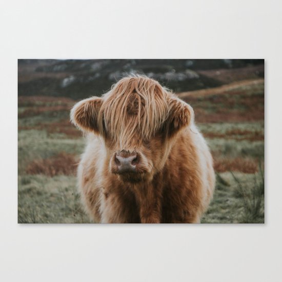 Folk Cow Canvas Print
