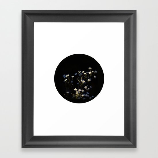 Asters Framed Art Print