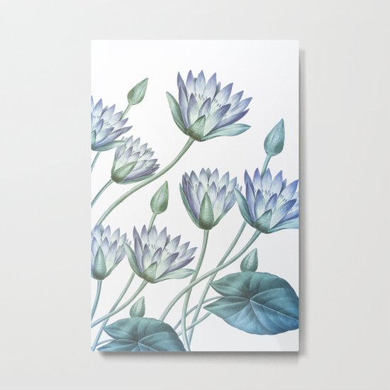 Water Lily Blue Metal Print