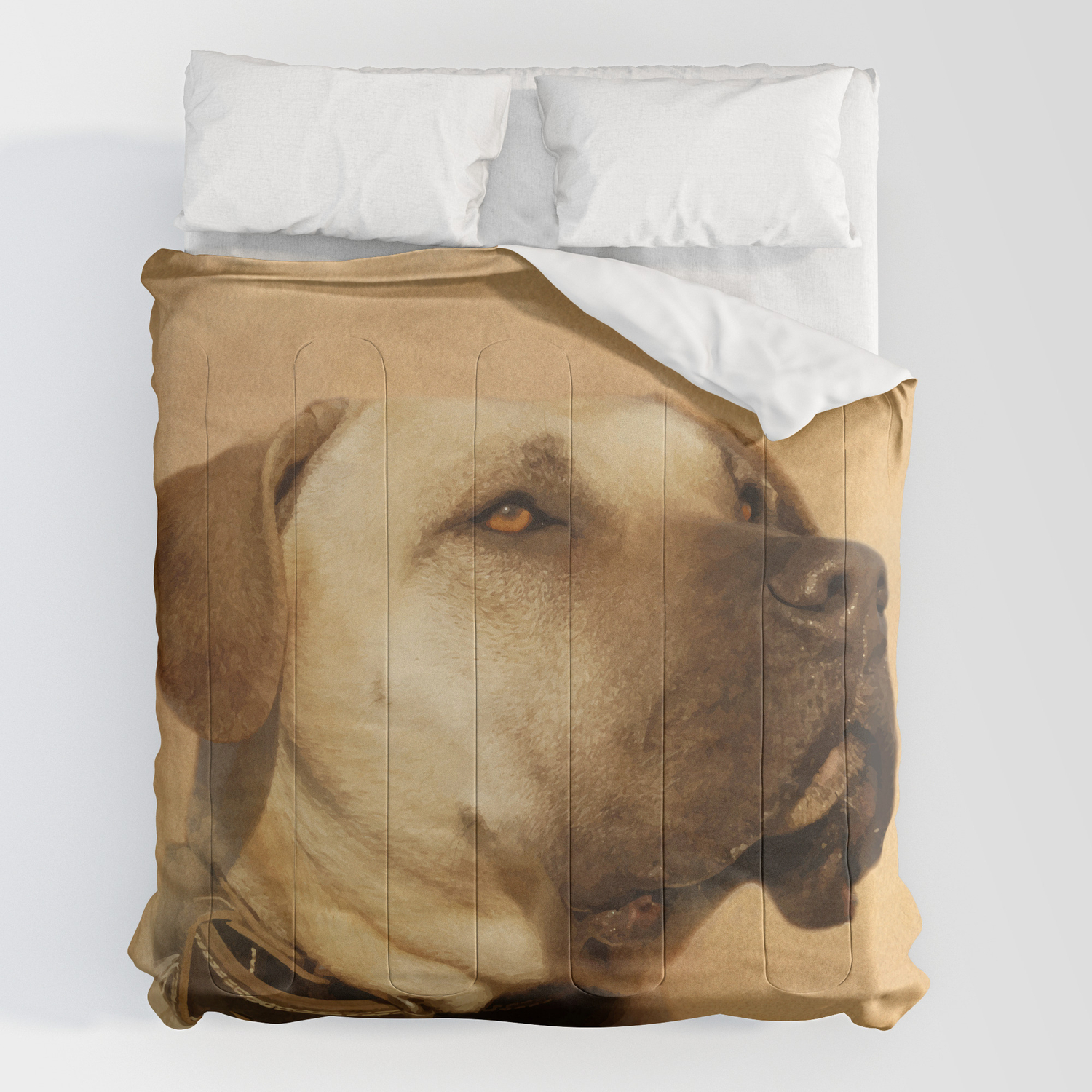 society6