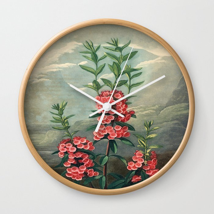 Pink Floral The Narrow-leaved Kalmia : Temple of Flora Wall Clock