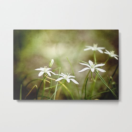 white flowers Metal Print
