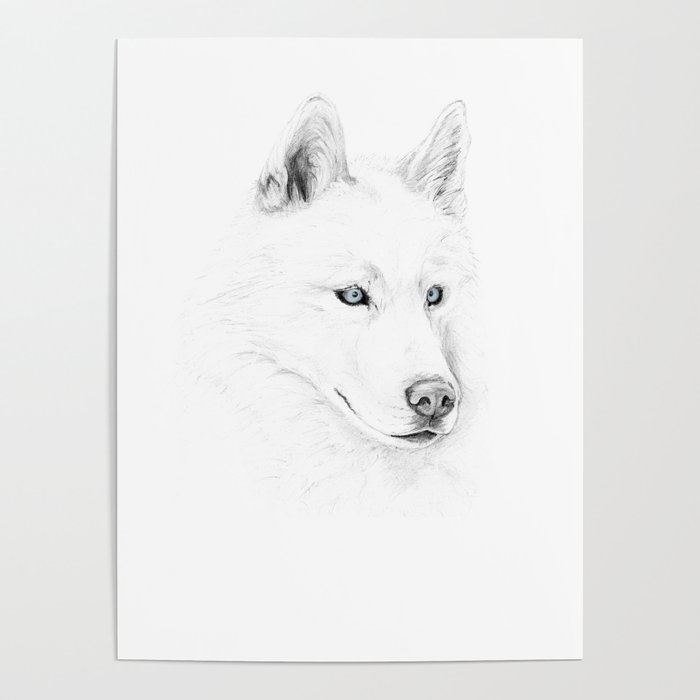 Saber :: A Siberian Husky Poster