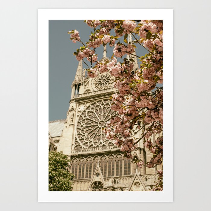 Notre Dame In Spring - Pink Blossoms in Paris, France Art Print