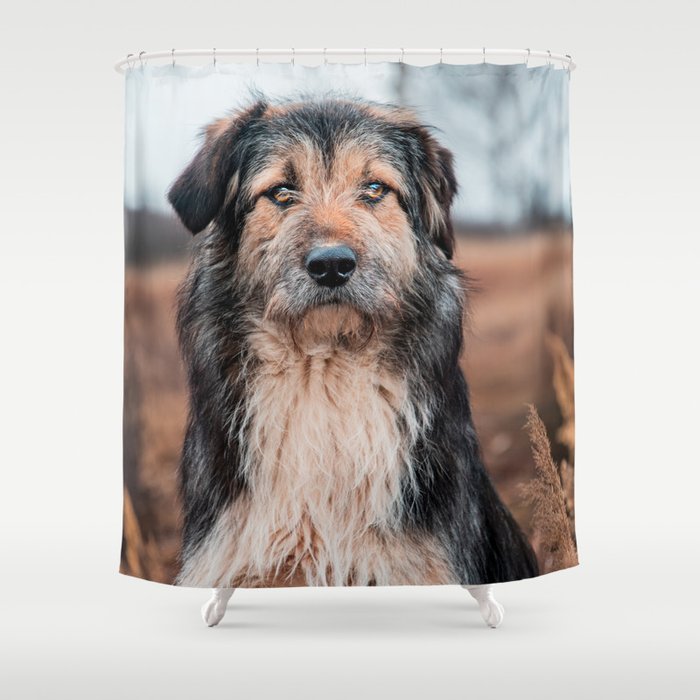Beautiful Dog Shower Curtain