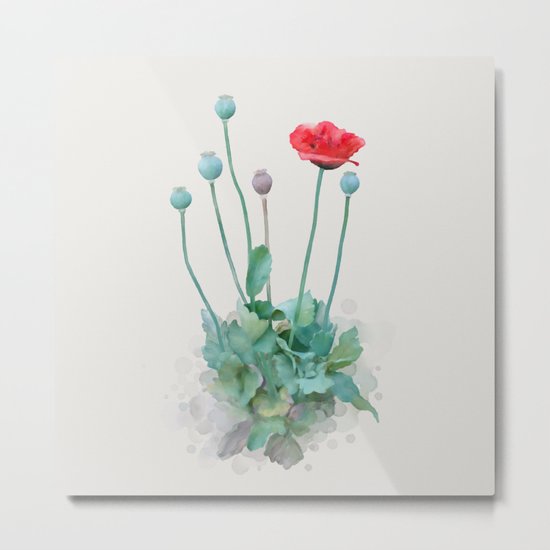 Poppy Metal Print
