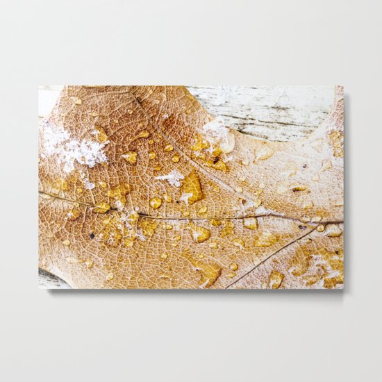 natural Metal Print