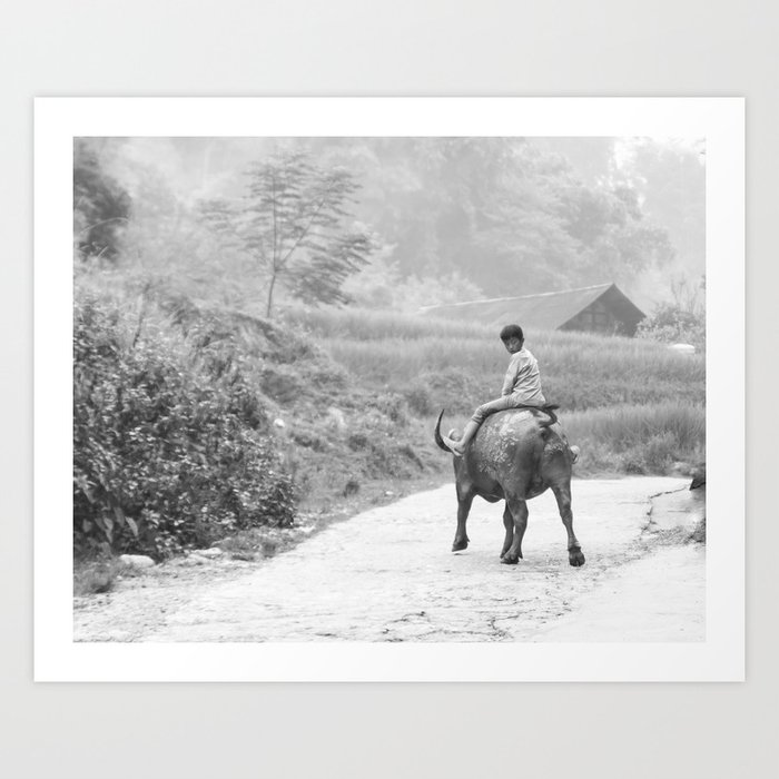A Boy and His Buffalo - Sa Pa, Vietnam Art Print