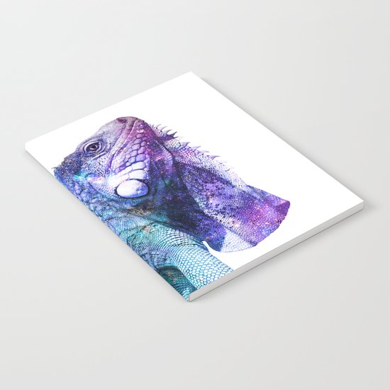 Galactic Iguana Notebook