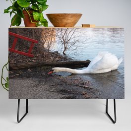 Not Your Usual Swan Photo Credenza
