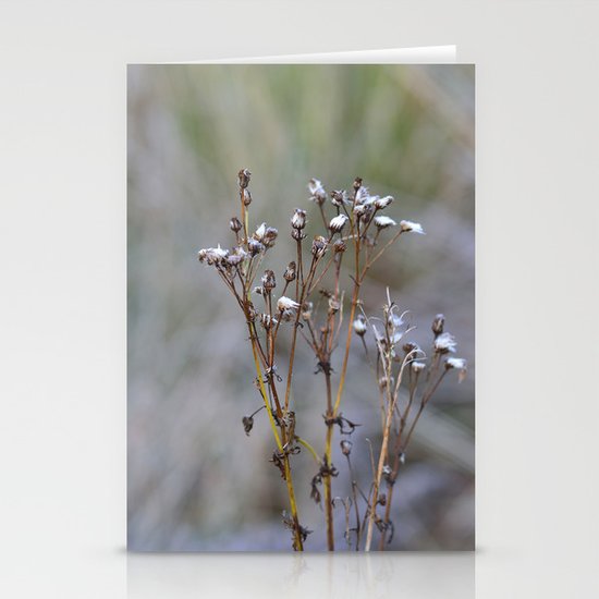 Frosty Seeds Stationery Cards