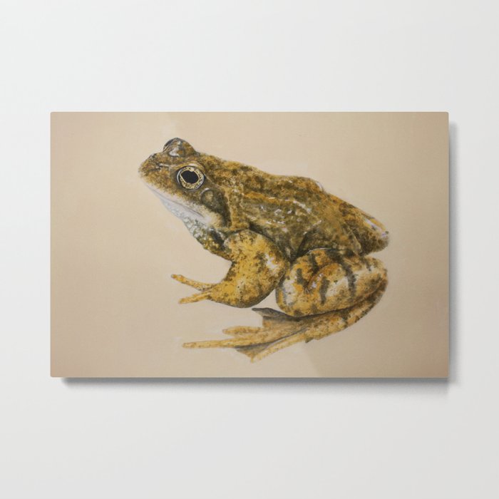  frog Metal Print