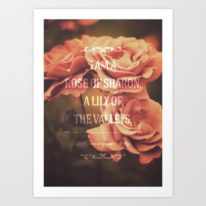 Typography Motivational Christian Bible Verses Poster - Song of Solomon 2:1 Art Print | Graphic-design, Nature, Typography, Graphic-design, Typographicverses, God, Jesus, Jesuschrist, Bible, Bibleverses