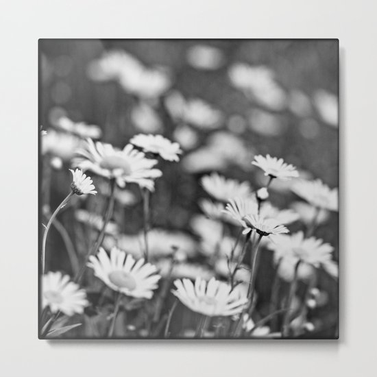 field of dreams Metal Print