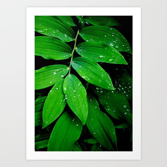 Lush Art Print