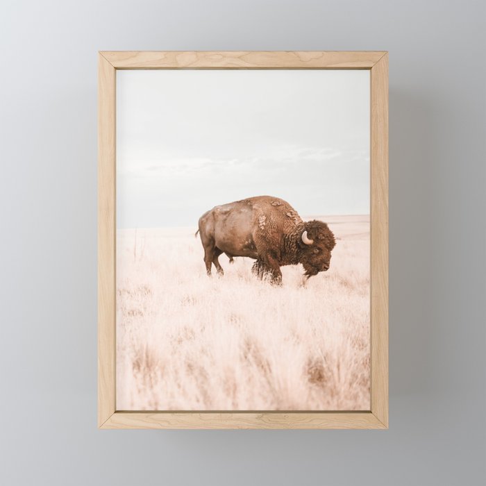 Bison Framed Mini Art Print