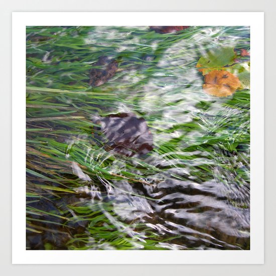 wild stream I Art Print