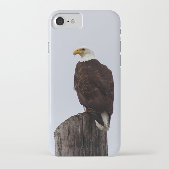 Bald Eagle on Watch in Port Townsend, WA iPhone Case