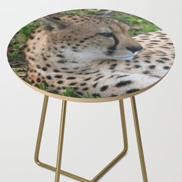 cheetah resting Side Table