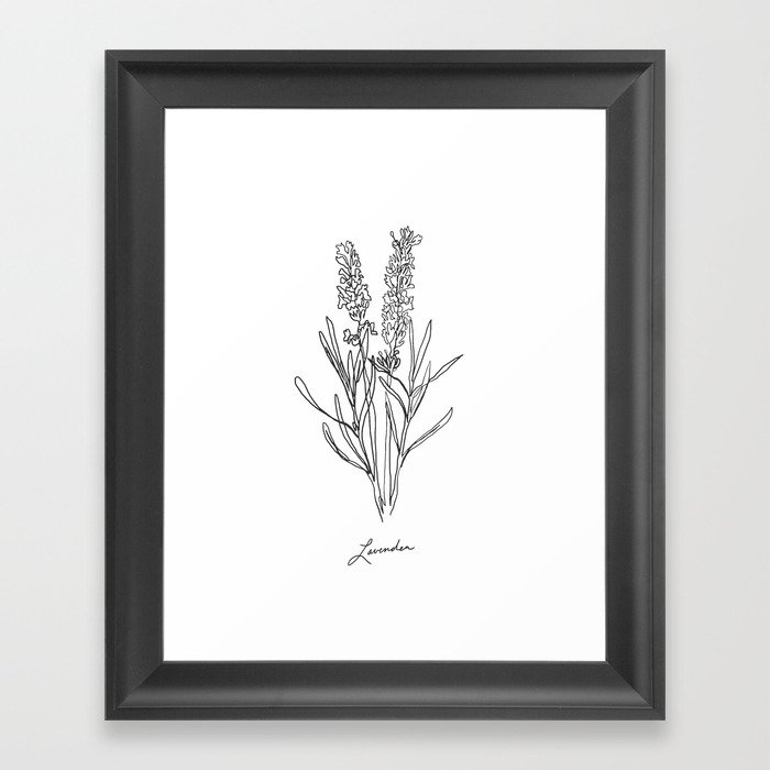 Lavender botanical minimalist line art Framed Art Print