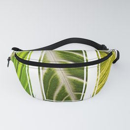 Tryptych of leaf patterns Fanny Pack