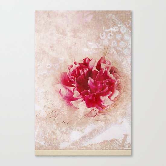 Vintage peony Canvas Print