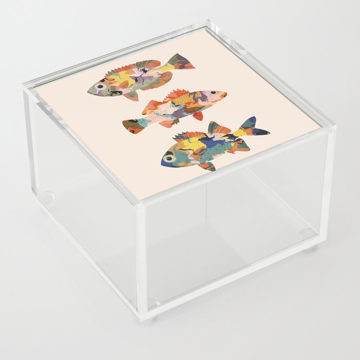 Colorful fish Acrylic Box