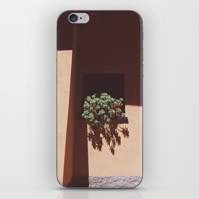 Desert window succulent plants iPhone Skin