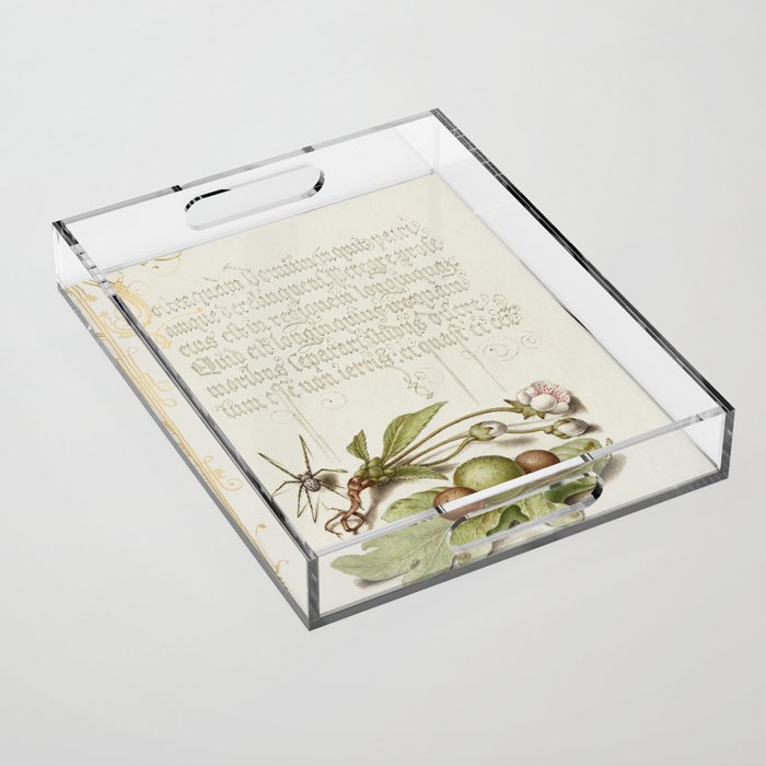 Calligraphic poster with fruit and  flowers Acrylic Tray