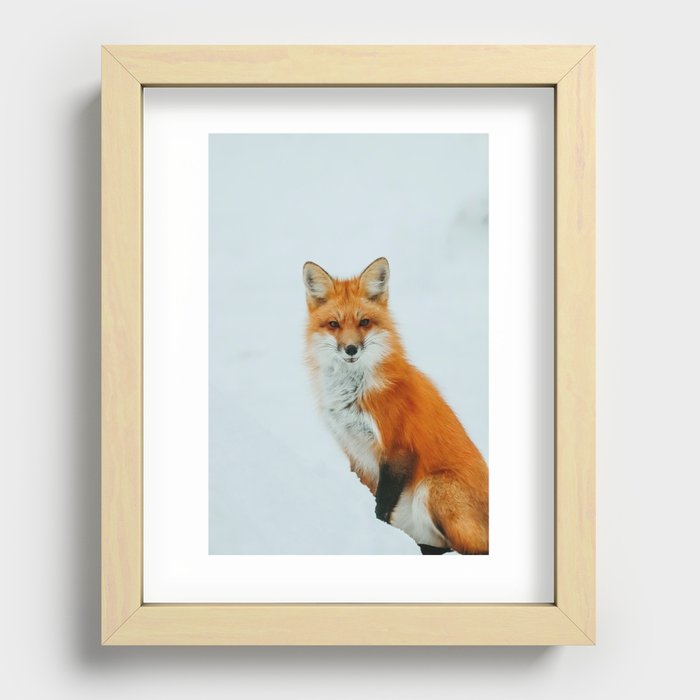 Fox in the Snow II Recessed Framed Print