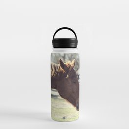 Horse feeling the breeze on its mane | Dreams of wild freedom Water Bottle