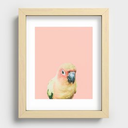 Birds of Paradise - pastel pink Recessed Framed Print