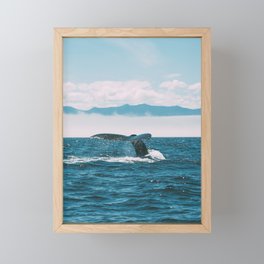 Ocean Whale Framed Mini Art Print