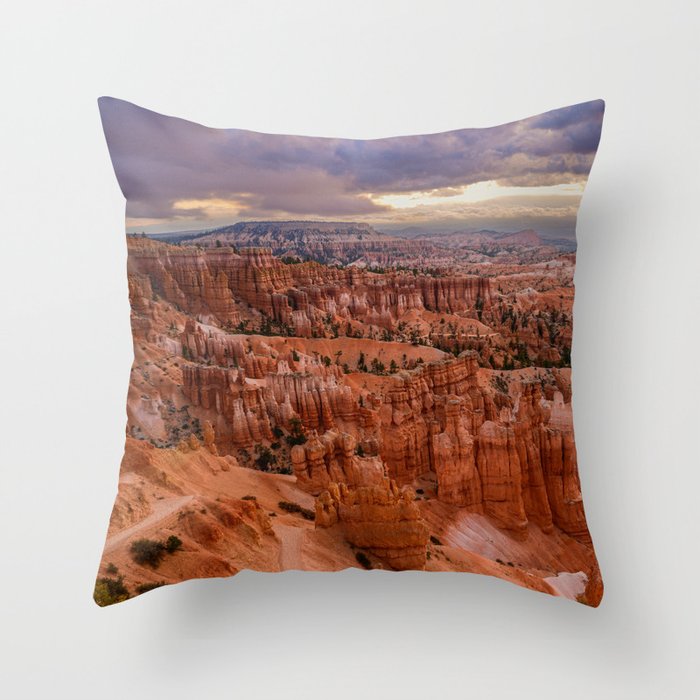 Throw Pillow