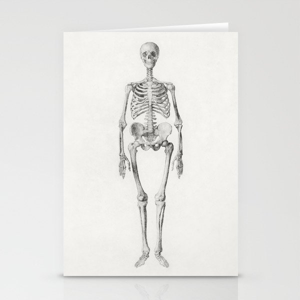 Human Skeleton, Anterior View Stationery Cards