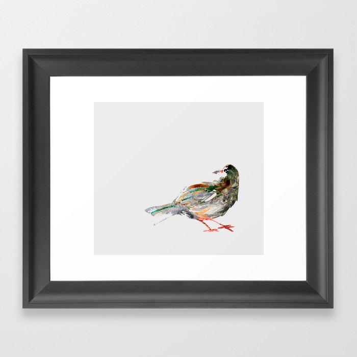 city pigeon Framed Art Print