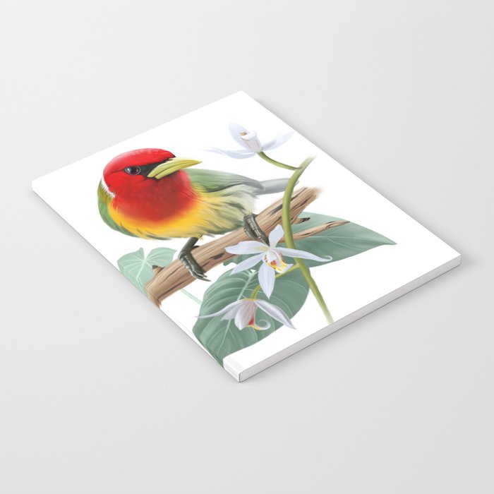 Tropical bird red-headed barbet Notebook