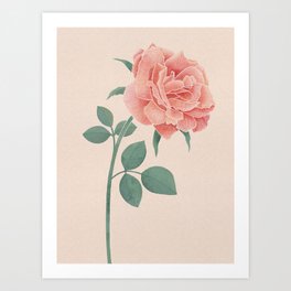 A Simple Rose Art Print