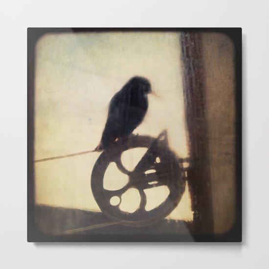 Bird On A Wire Metal Print