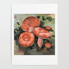 Coral Milk Cap Mushroom-2 Poster