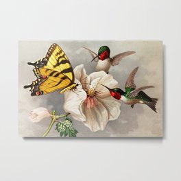 Ruby-throated Hummingbirds & Butterfly Portrait Metal Print