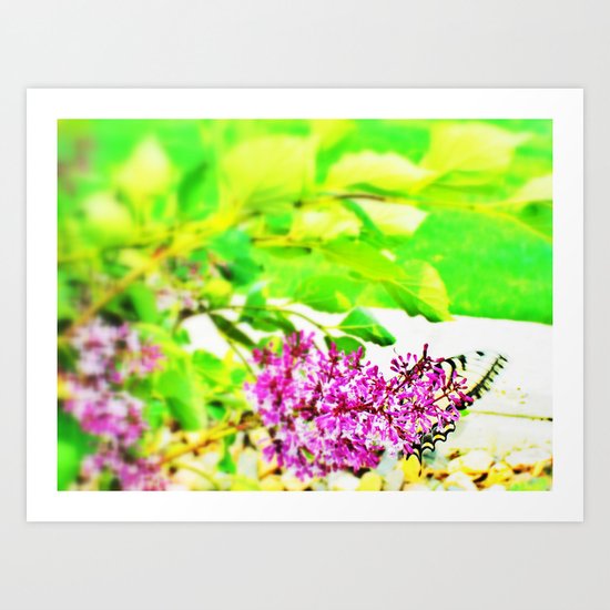 butterfly glory Art Print