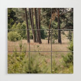 Dutch Pine Trees at Meadow Wood Wall Art