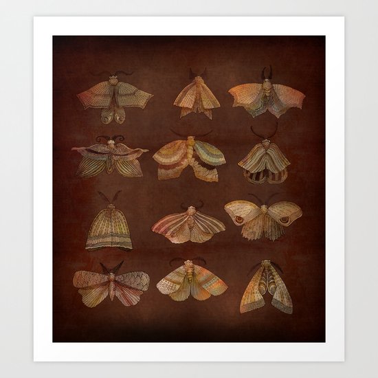 Moth Collector Art Print